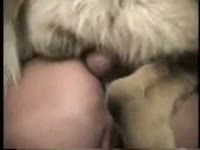 Dog shakes and orgasms inside woman pussy